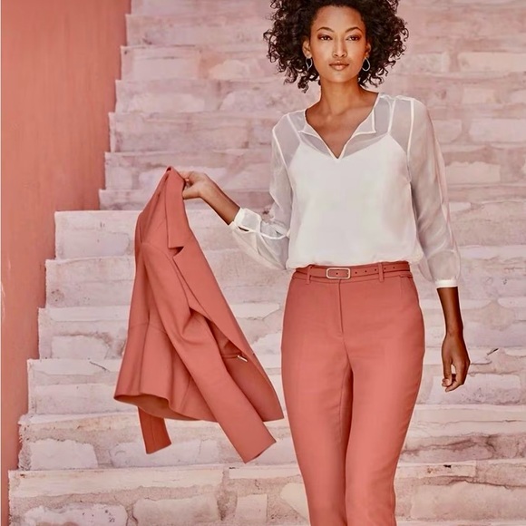 White House Black Market Gorgeous Sheer Long Sleeved Blouse with Cami. Size 6 - Picture 4 of 10